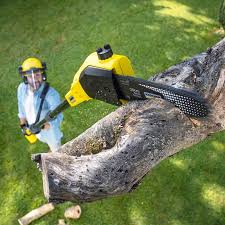 Lawn Maintenance Plans in Gadsden, AL